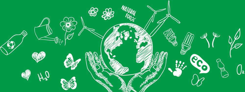 respect de l'environnement